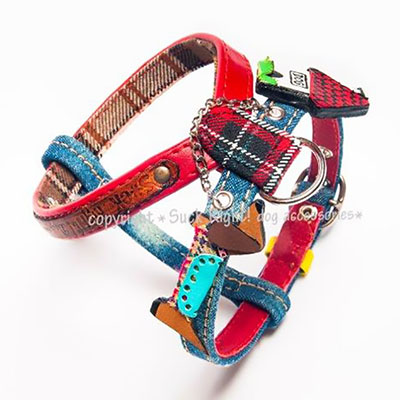 going_to_home_harness-big